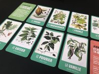 Jeu taille tarot pour animation pédagogiques pour Coeur de Forêt