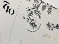 Sticker papier vergé en petite série