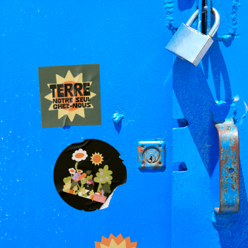 sticker avec refente, sticker impression grande série, sticker pas cher, autocollant refente au dos, autocollant pas cher